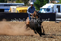 NimmitabelCampdraft2017_0515