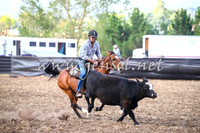 NimmitabelCampdraft2017_0616