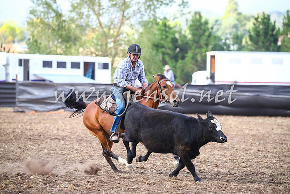 NimmitabelCampdraft2017_0616