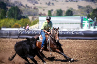 NimmitabelCampdraft2017_0497