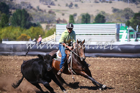 NimmitabelCampdraft2017_0497