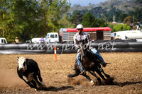 NimmitabelCampdraft2017_0568