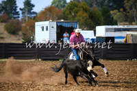 NimmitabelCampdraft2017_0583