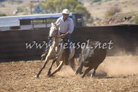 NimmitabelCampdraft2017_0441