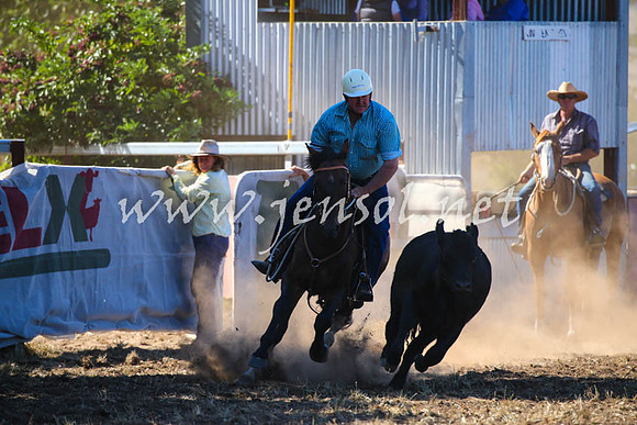 NimmitabelCampdraft2017_0557