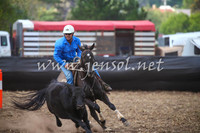 NimmitabelCampdraft2017_0605