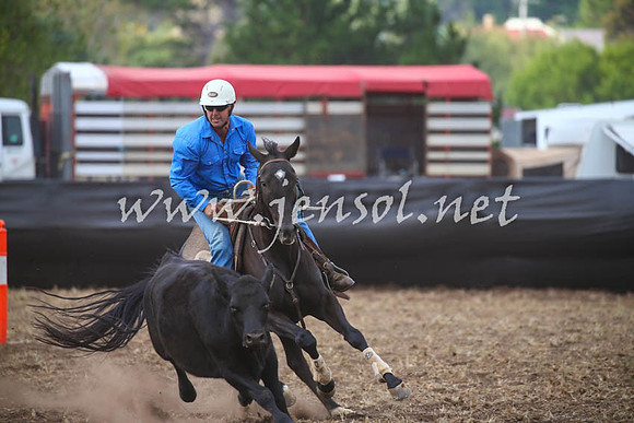 NimmitabelCampdraft2017_0605