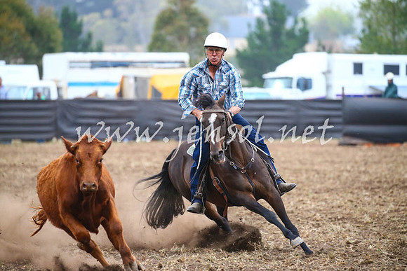 NimmitabelCampdraft2017_0701