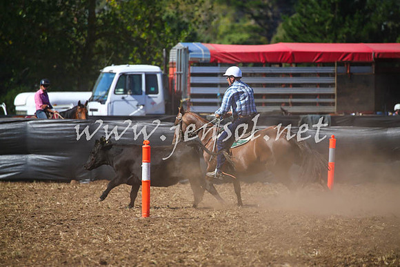 NimmitabelCampdraft2017_0519