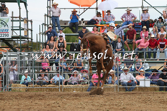 QueanbeyanRodeo2015_2624