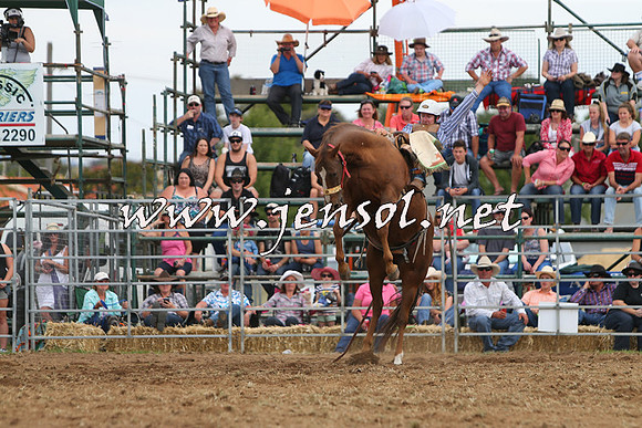 QueanbeyanRodeo2015_2623