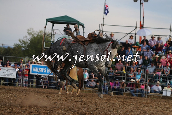 QueanbeyanRodeo2015_3852