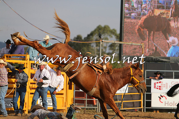QueanbeyanRodeo2015_3979