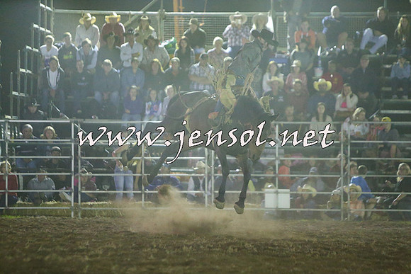 QueanbeyanRodeo2015_5232