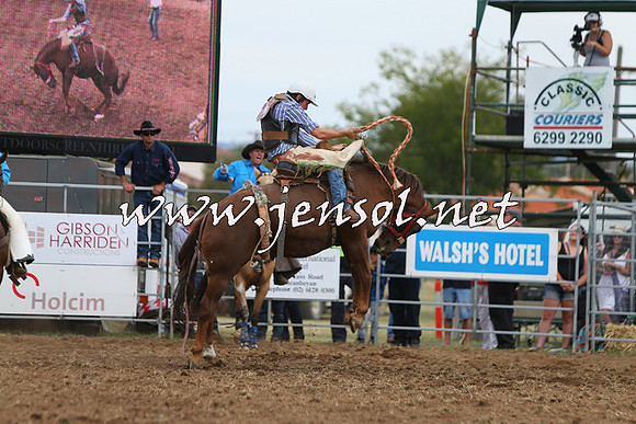 QueanbeyanRodeo2015_2604