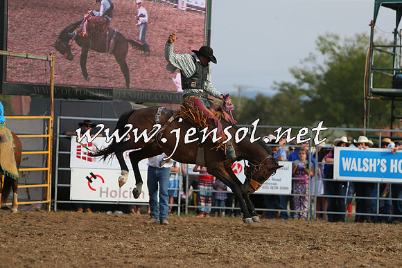 QueanbeyanRodeo2015_4003