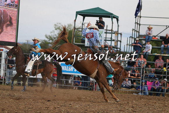 QueanbeyanRodeo2015_3771