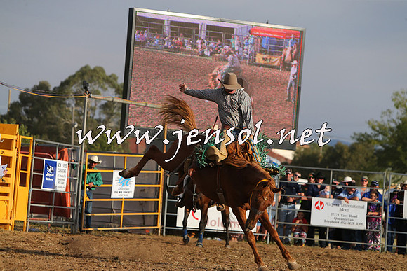 QueanbeyanRodeo2015_3944