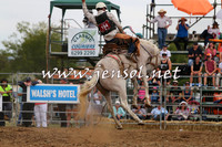 QueanbeyanRodeo2015_2576