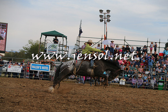 QueanbeyanRodeo2015_3799