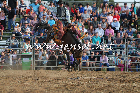 QueanbeyanRodeo2015_4023
