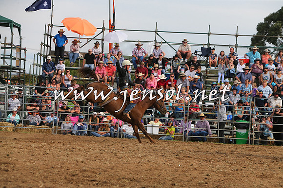 QueanbeyanRodeo2015_3208