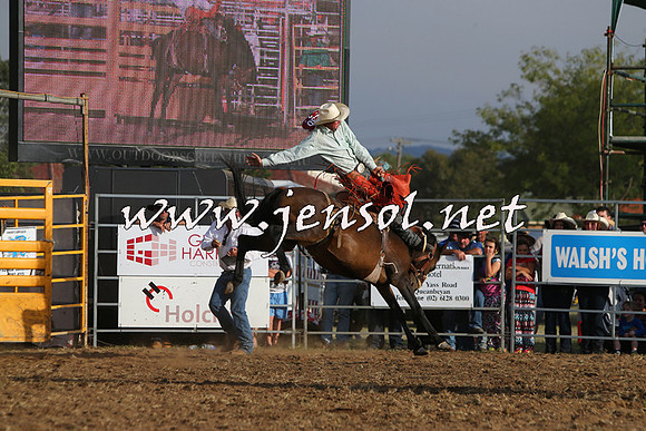 QueanbeyanRodeo2015_3905