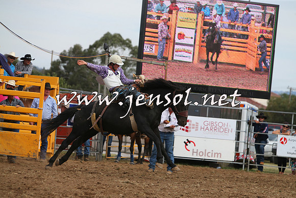QueanbeyanRodeo2015_3167
