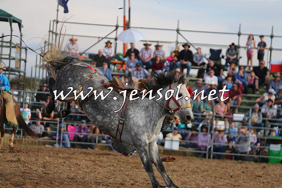 QueanbeyanRodeo2015_3853