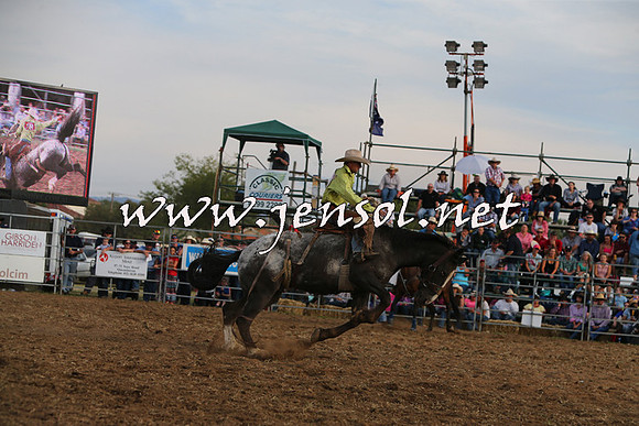 QueanbeyanRodeo2015_3801
