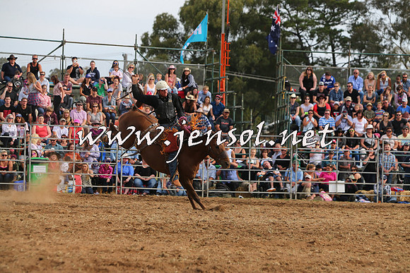 QueanbeyanRodeo2015_3227