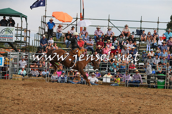 QueanbeyanRodeo2015_3217
