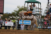 QueanbeyanRodeo2015_2547