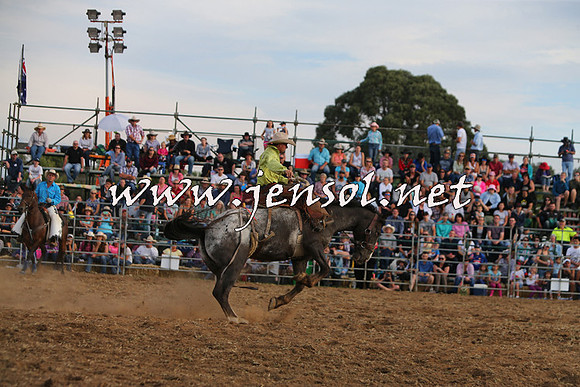 QueanbeyanRodeo2015_3800