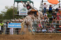 QueanbeyanRodeo2015_2578