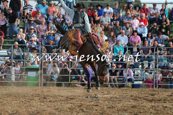 QueanbeyanRodeo2015_4026