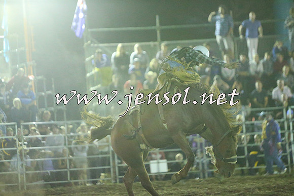 QueanbeyanRodeo2015_5325