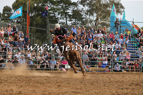 QueanbeyanRodeo2015_3239