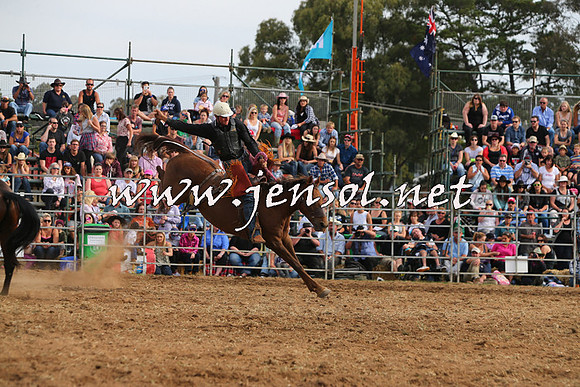 QueanbeyanRodeo2015_3222