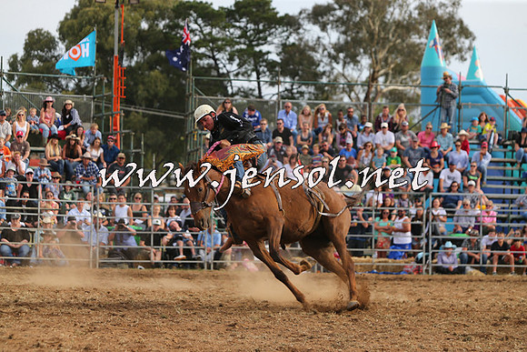 QueanbeyanRodeo2015_3238