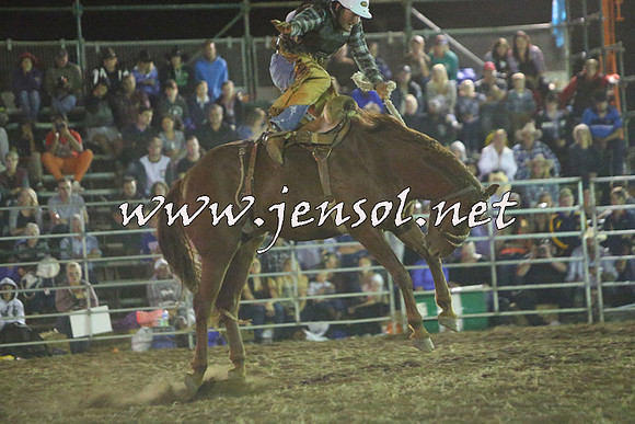 QueanbeyanRodeo2015_5309