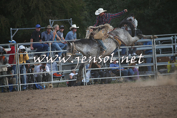 TaralgaRodeo2016_8879