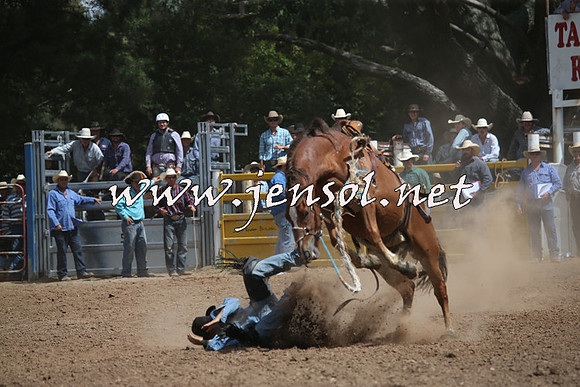 TaralgaRodeo2016_7257