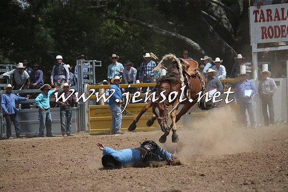 TaralgaRodeo2016_7234