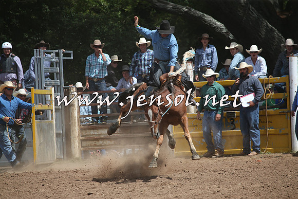 TaralgaRodeo2016_7233
