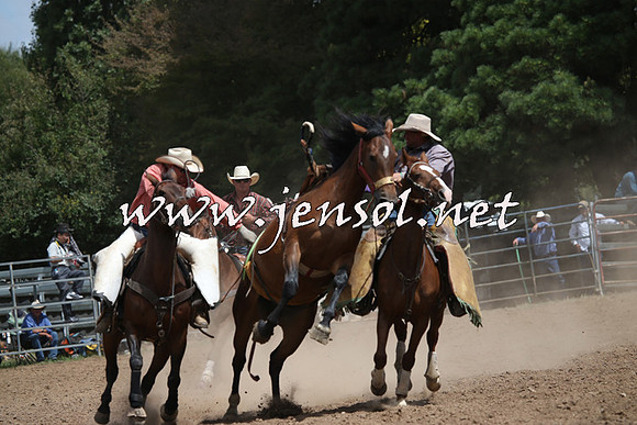 TaralgaRodeo2016_7096