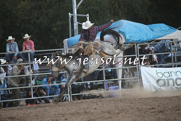 TaralgaRodeo2016_8894