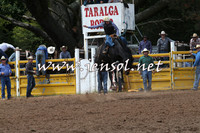 TaralgaRodeo2016_5559