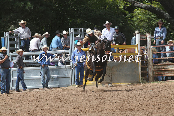 TaralgaRodeo2016_5643