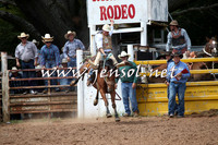 TaralgaRodeo2016_5467